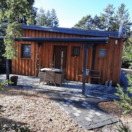 Ferienhaus Leon Mit Sauna Rehburg-Loccum 外观 照片