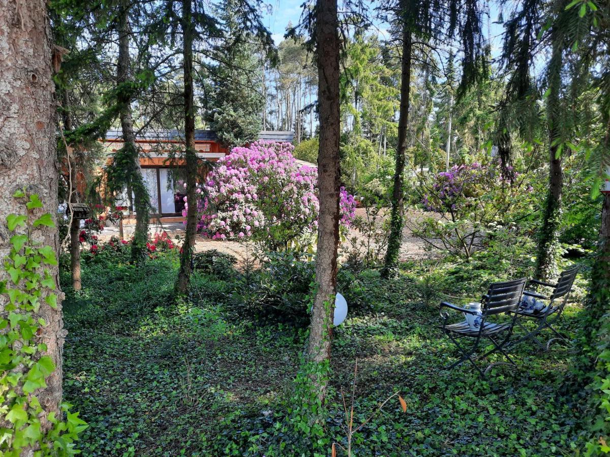 Ferienhaus Leon Mit Sauna Rehburg-Loccum 外观 照片
