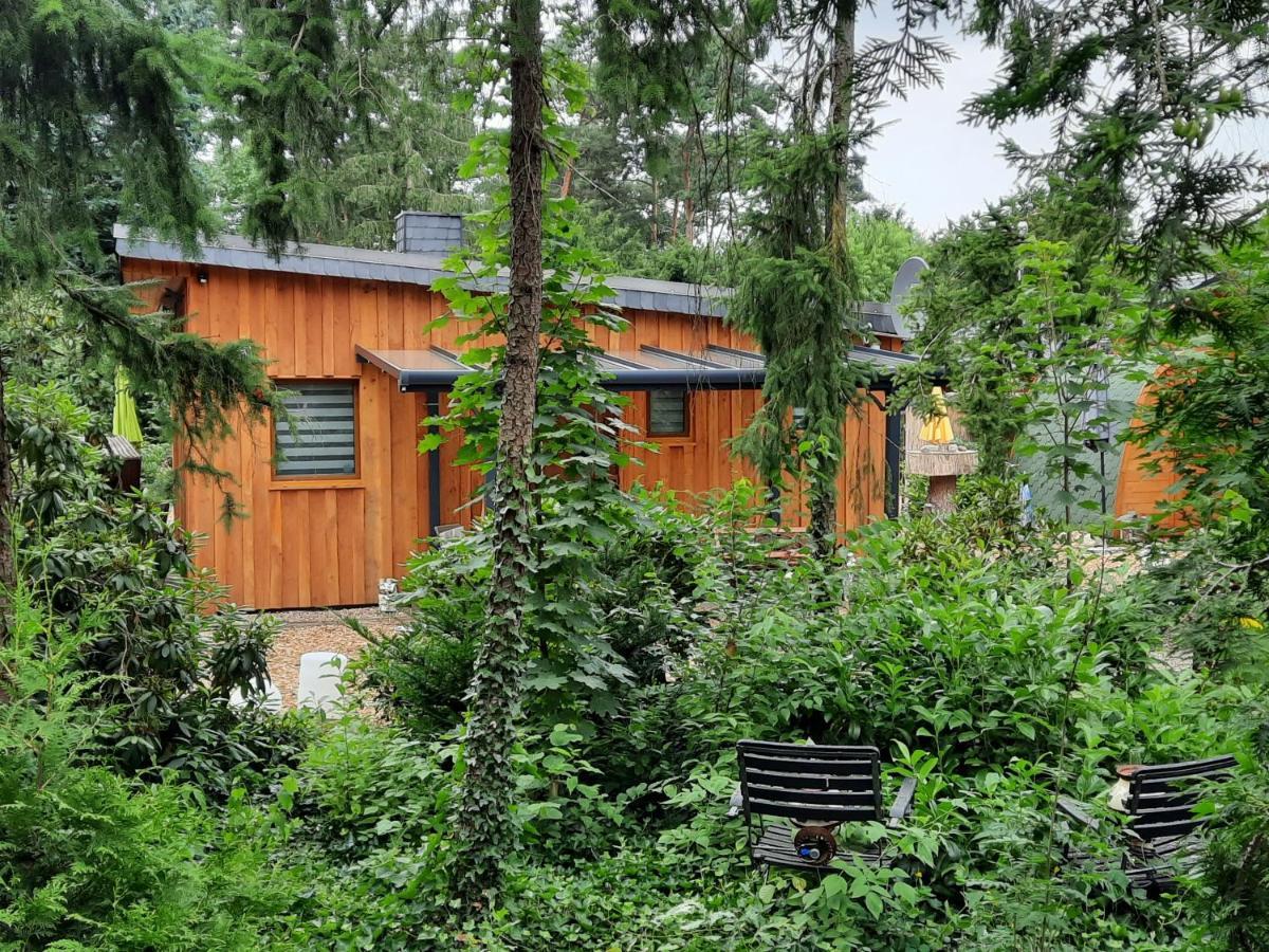 Ferienhaus Leon Mit Sauna Rehburg-Loccum 外观 照片