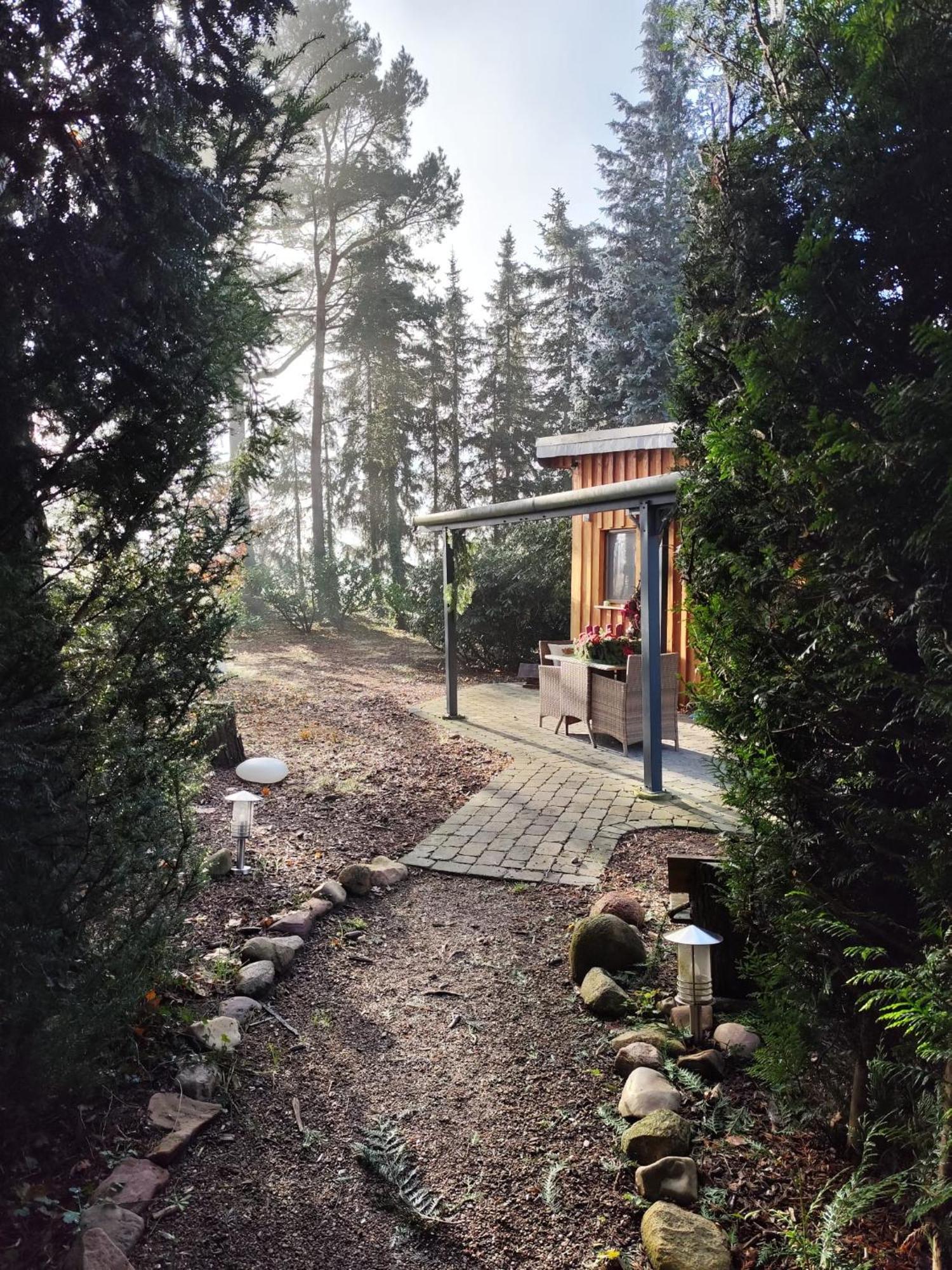 Ferienhaus Leon Mit Sauna Rehburg-Loccum 外观 照片