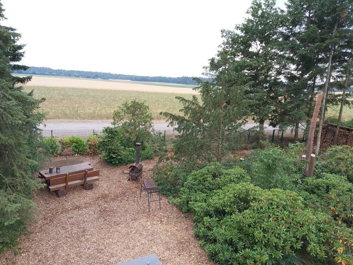 Ferienhaus Leon Mit Sauna Rehburg-Loccum 外观 照片